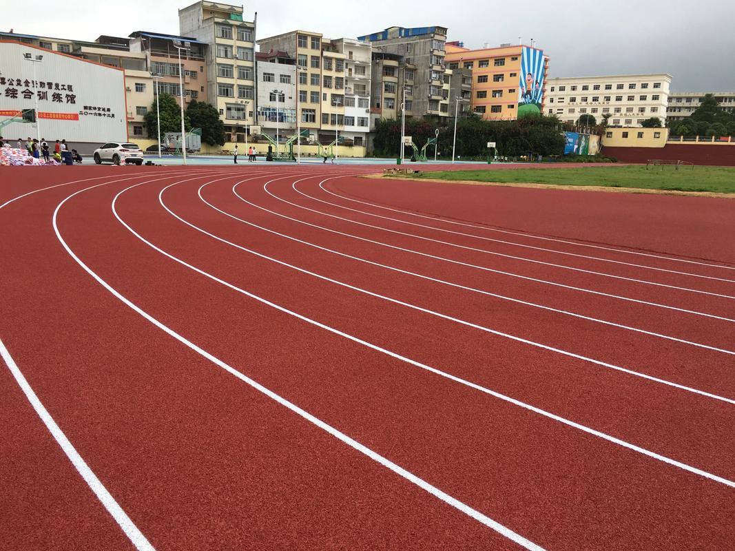 潍坊市硅PU塑胶跑道材料 - 排名